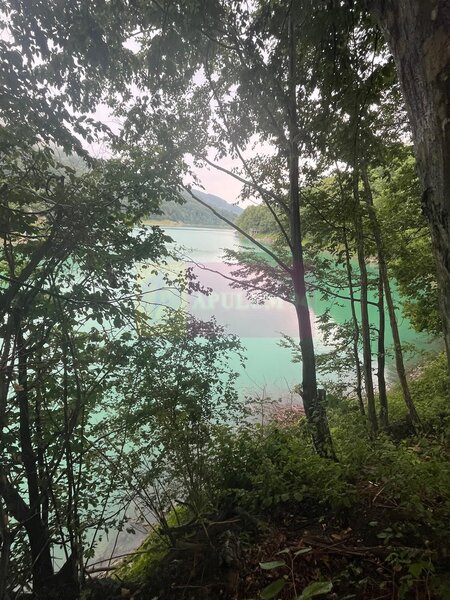 Teren cu deschidere la lac – Valea Doftanei, Prahova